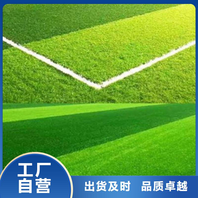 【人造草坪-塑胶跑道大厂家实力看得见】