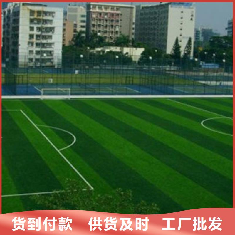 【人造草坪-塑胶跑道大厂家实力看得见】