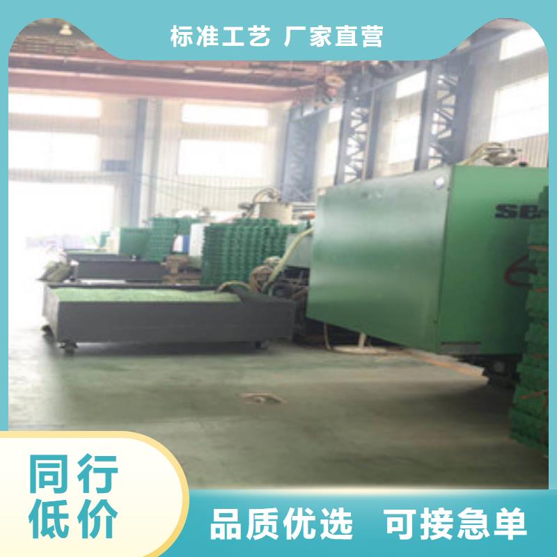 【环保植草格】膨润土防水毯厂家支持大小批量采购