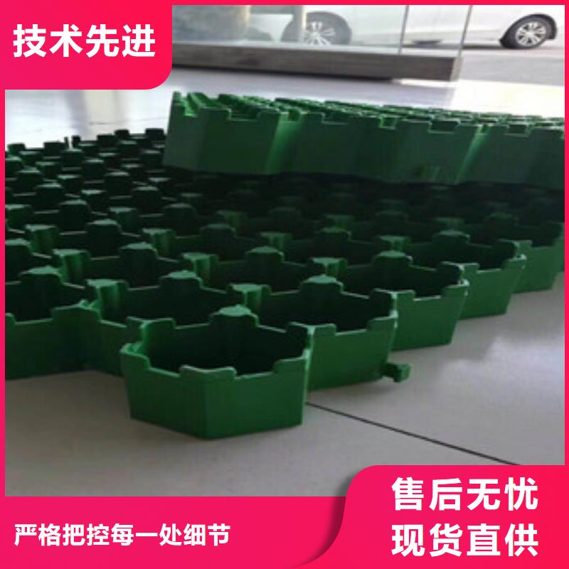 【环保植草格,植草格厂家为品质而生产】