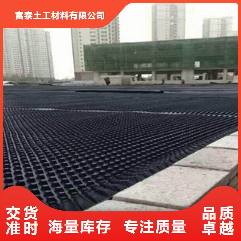 塑料排水板蓄排水板厂家源头厂商