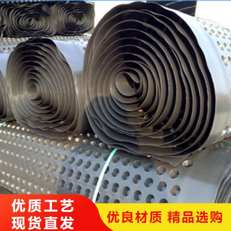 排水板虹吸排水板厂家大量现货供应