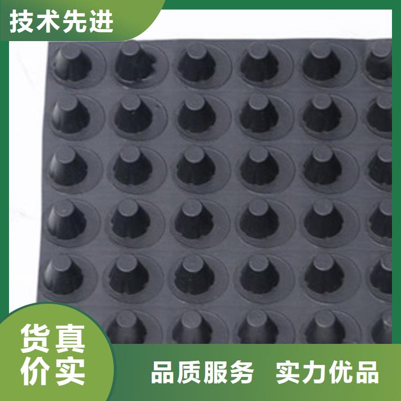 排水板虹吸排水板厂家大量现货供应