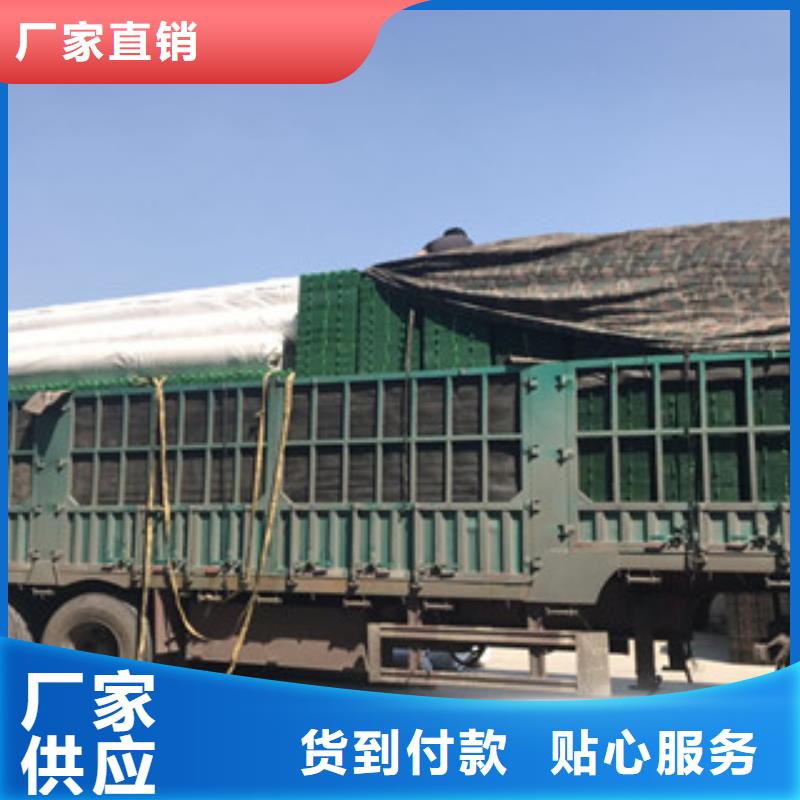 H20mm厚排水板泰安富泰土工材料有限公司厂家直销