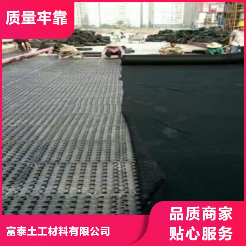 15厚排水板泰安富泰土工材料有限公司厂家直销