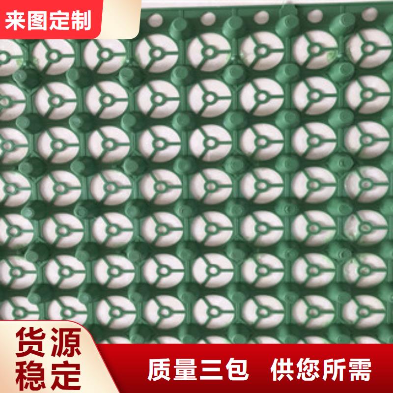 15厚排水板泰安富泰土工材料有限公司厂家直销