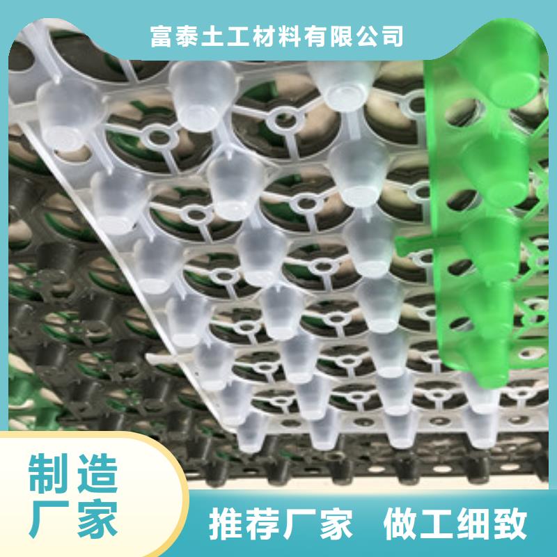 H20mm厚排水板泰安富泰土工材料有限公司厂家直销