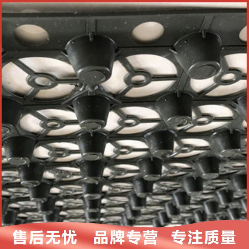H20mm厚排水板泰安富泰土工材料有限公司厂家直销