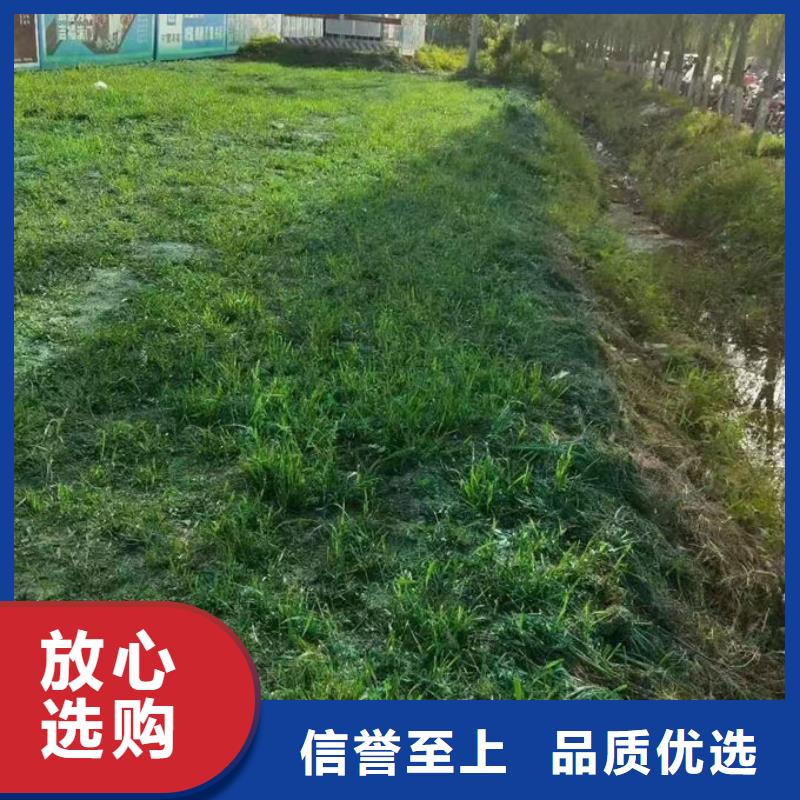 煤炭矿山抑尘剂量大从优