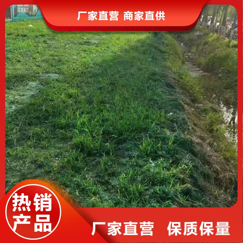 铁路抑尘剂厂家型号齐全