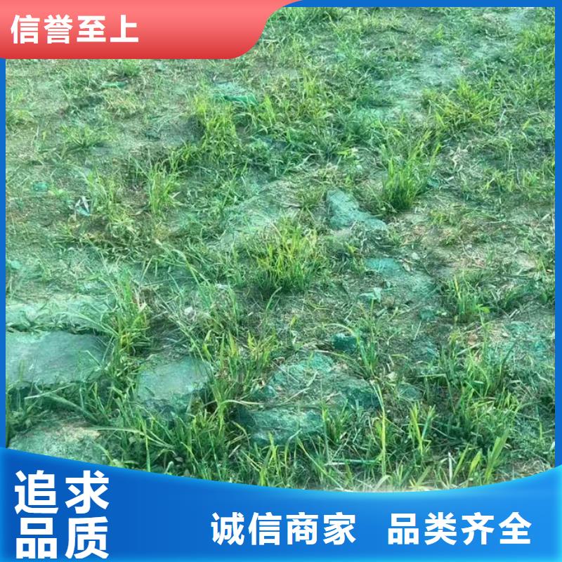 绿色结壳抑尘剂产地工厂