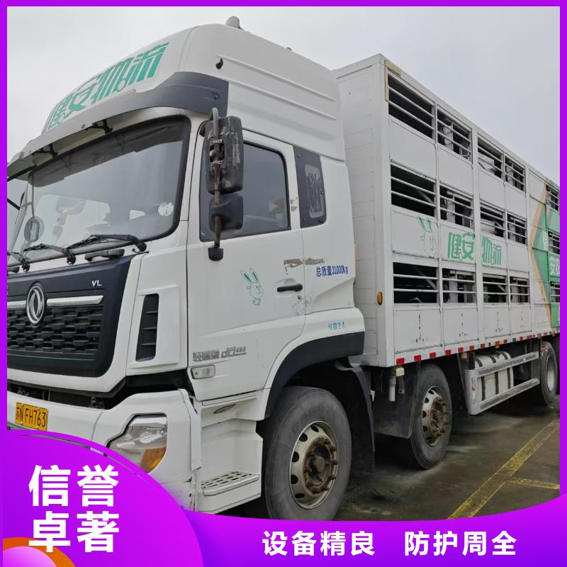 宿迁市泗洪到高栏车肥猪运输调度精准