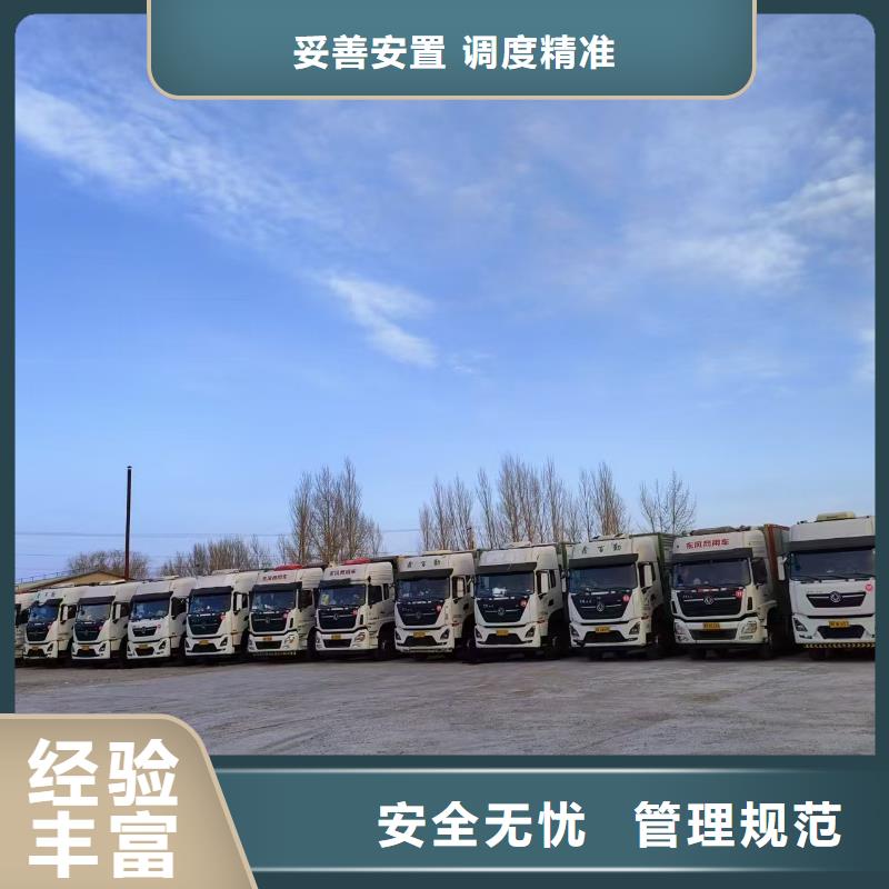 宿迁市泗洪到高栏车肥猪运输调度精准