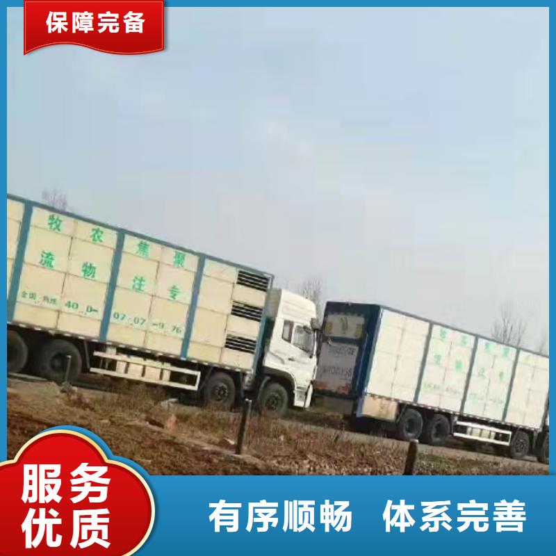 宿迁市泗洪到高栏车肥猪运输调度精准