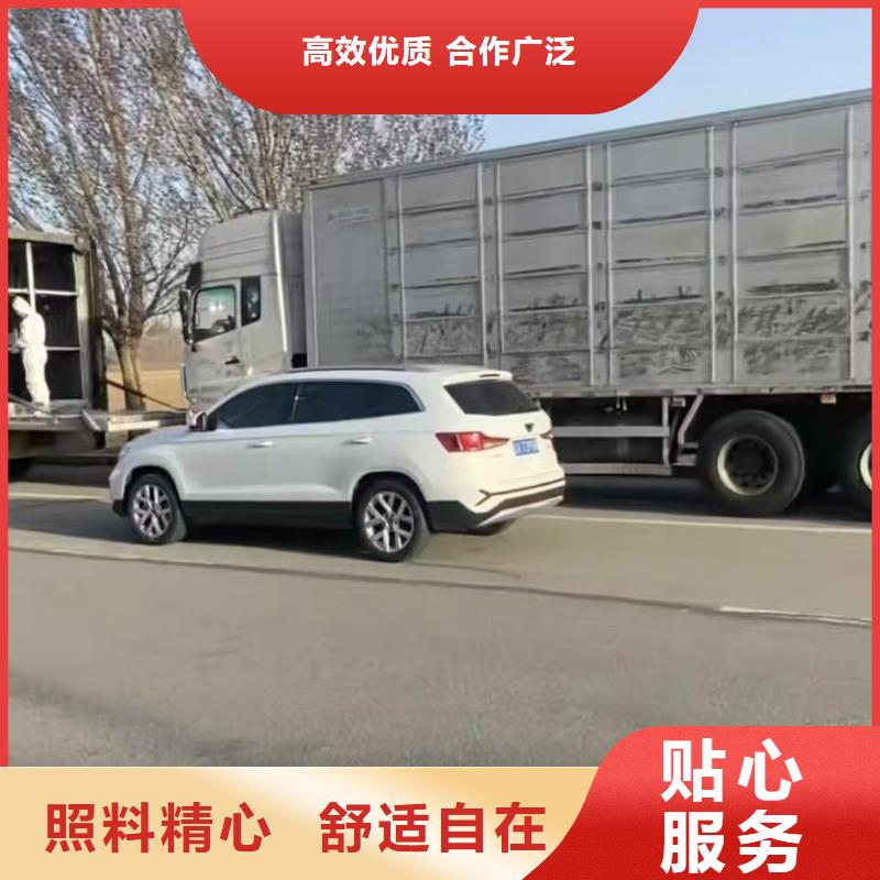 合肥到农牧运输信誉卓著