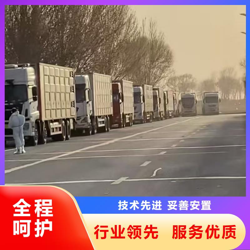 宿迁市到猪笼车运输保障完备
