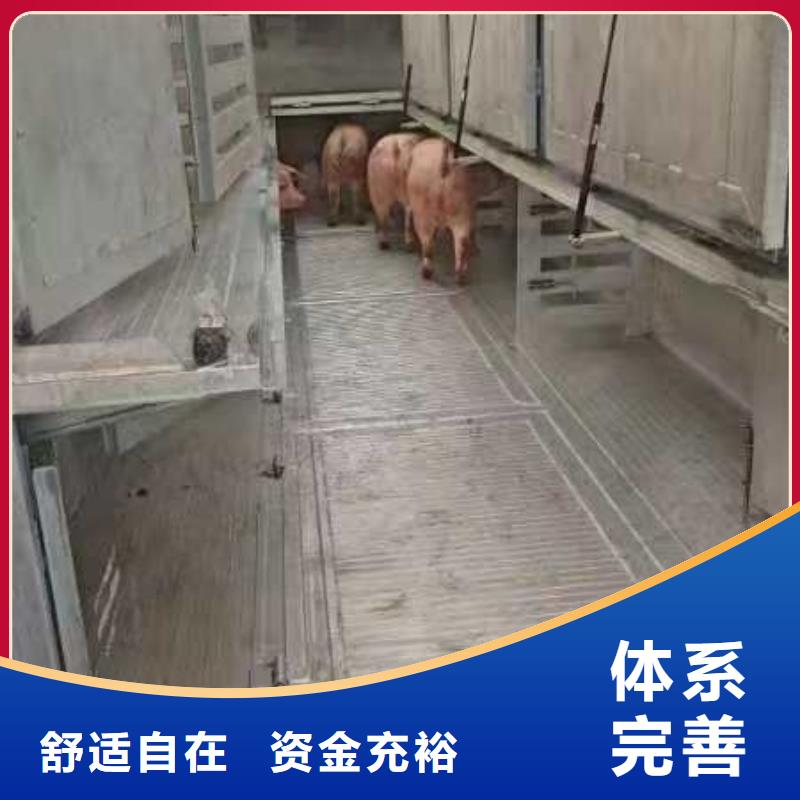 宿迁市到猪笼车运输保障完备
