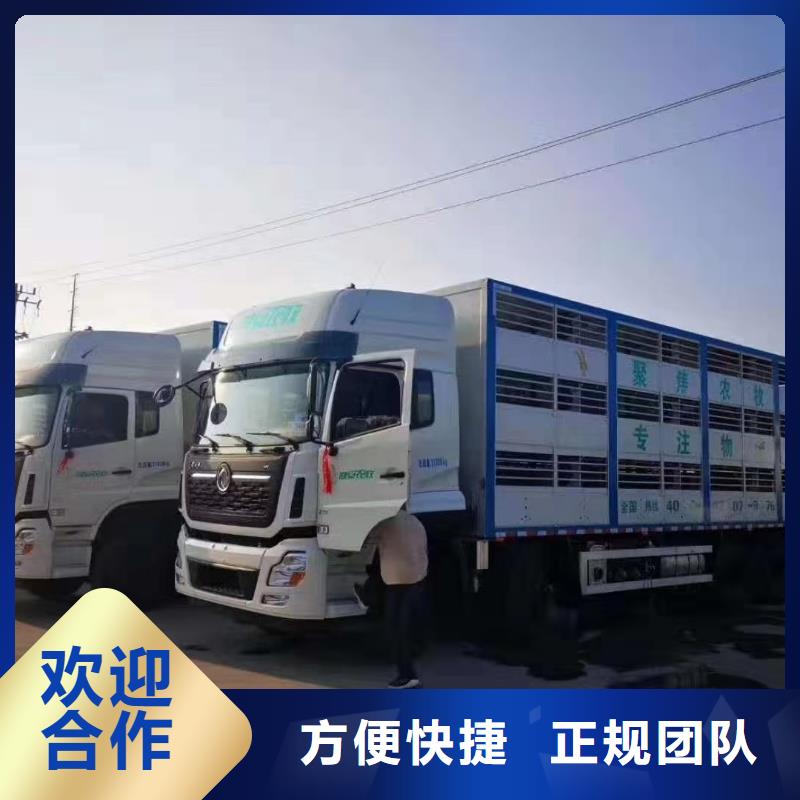 丽水到农牧运输恒温车品质卓越