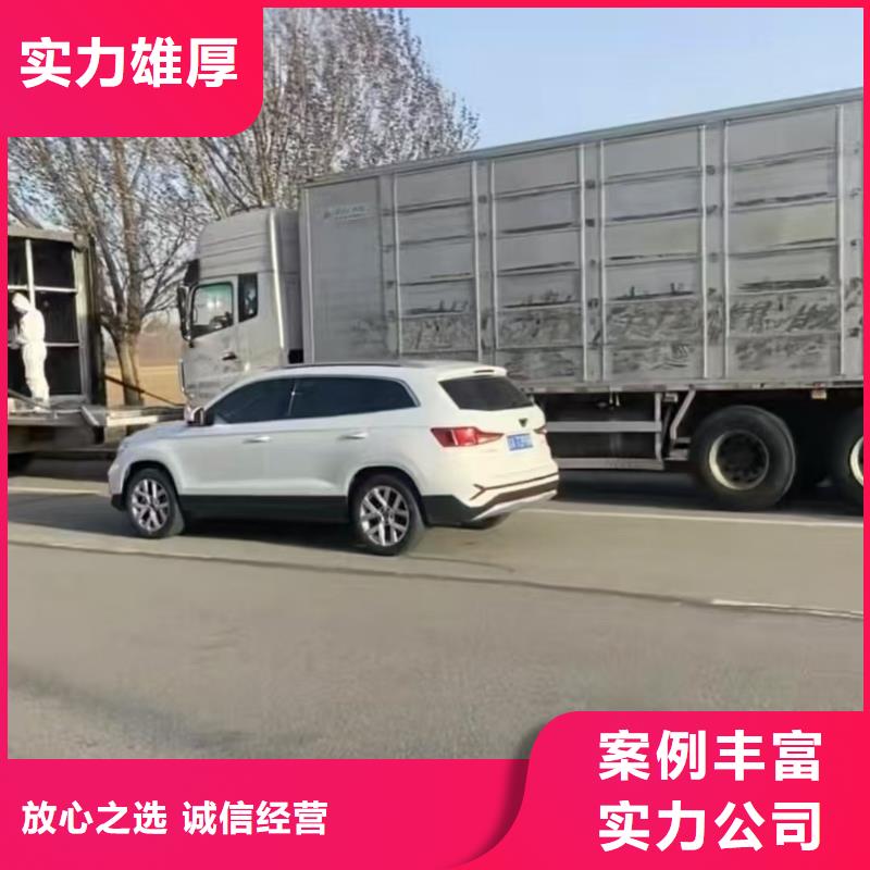 宿迁泗洪到猪笼车运输快捷