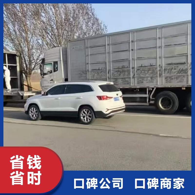 大丰到肥猪运输恒温车服务周到