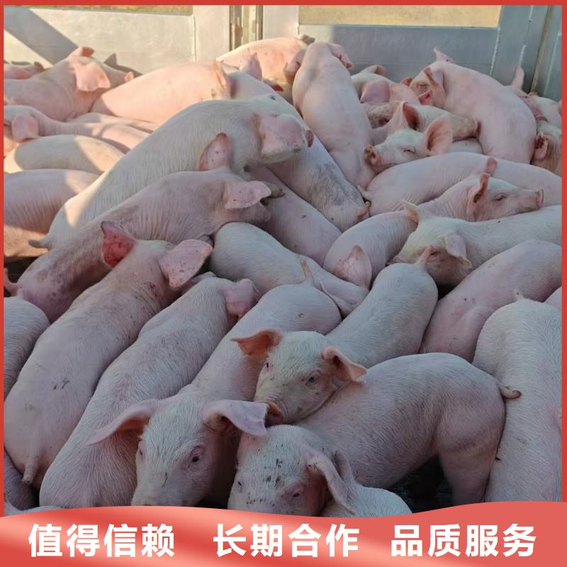 盐城到原料运输实力雄厚