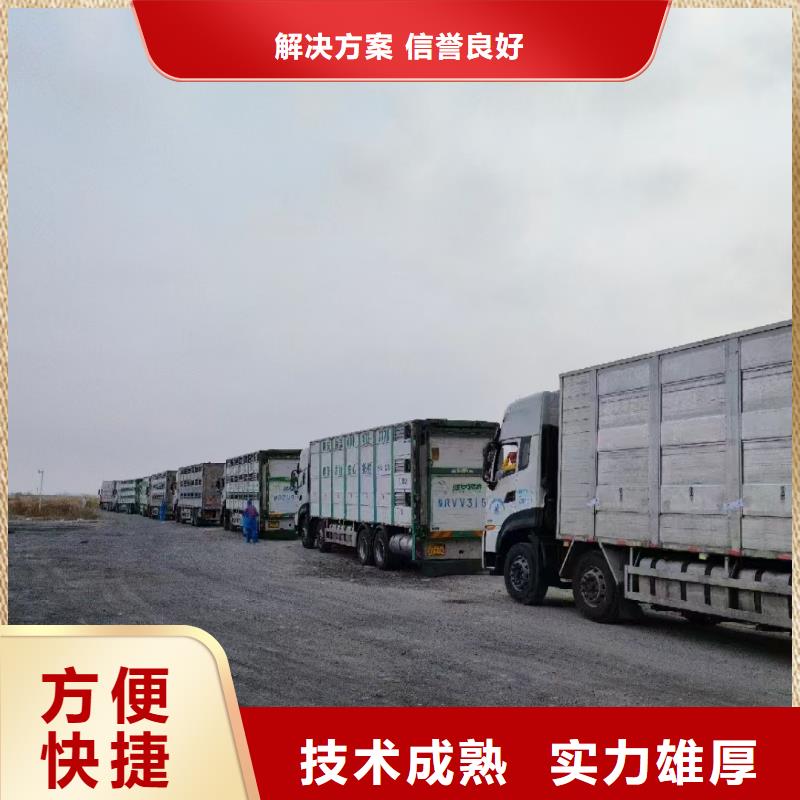 丽水到农牧运输恒温车品质卓越
