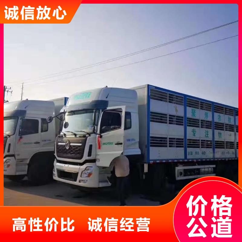 丽水到农牧运输恒温车品质卓越