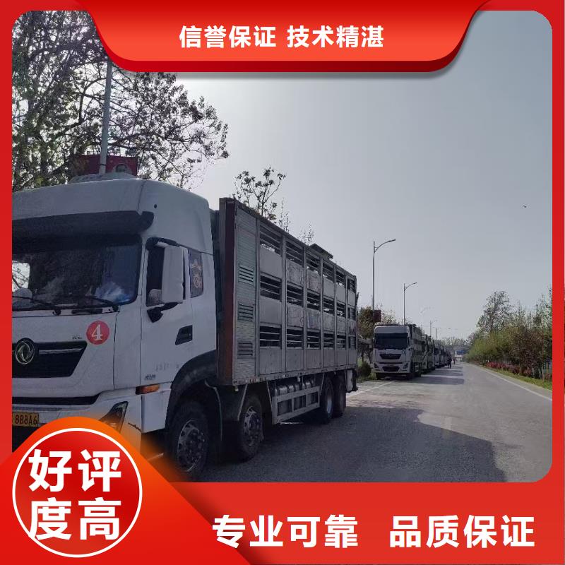 宿迁泗阳到牲畜运输团队专业