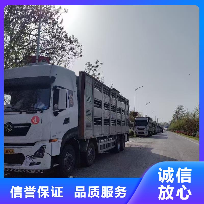 盐城到原料运输实力雄厚