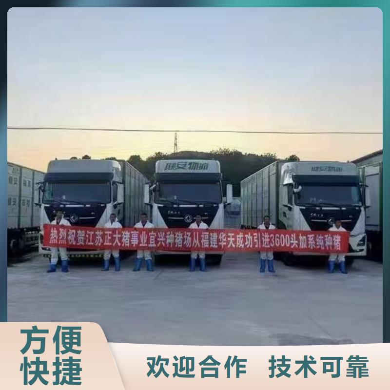宿迁泗阳到牲畜运输团队专业