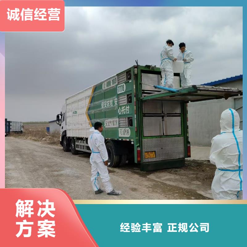 宿迁泗洪到猪笼车运输快捷
