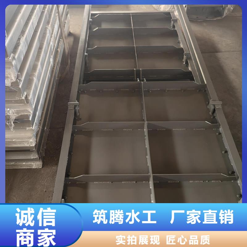钢闸门一体化泵闸闸门自营品质有保障