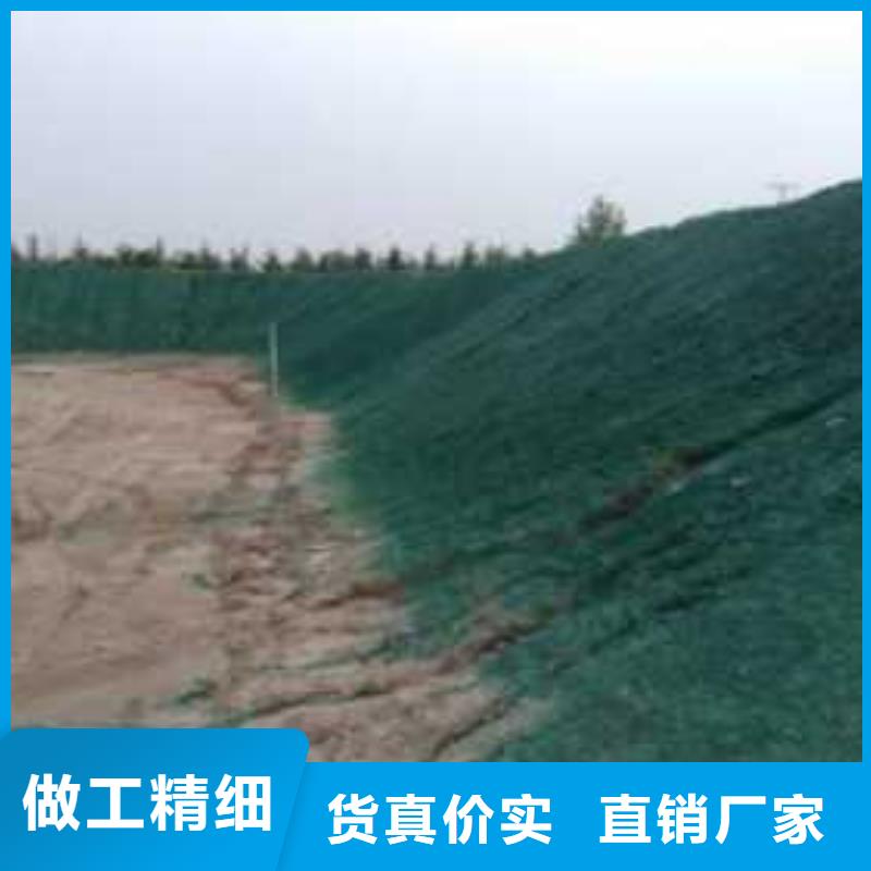 结壳抑尘剂今日